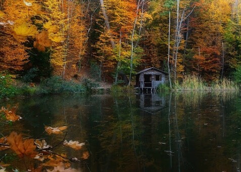 черепашье озеро